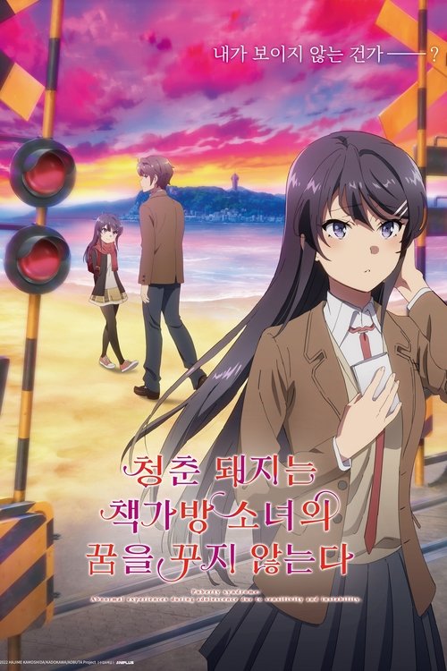 청춘 돼지는 산타클로스의 꿈을 꾸지 않는다